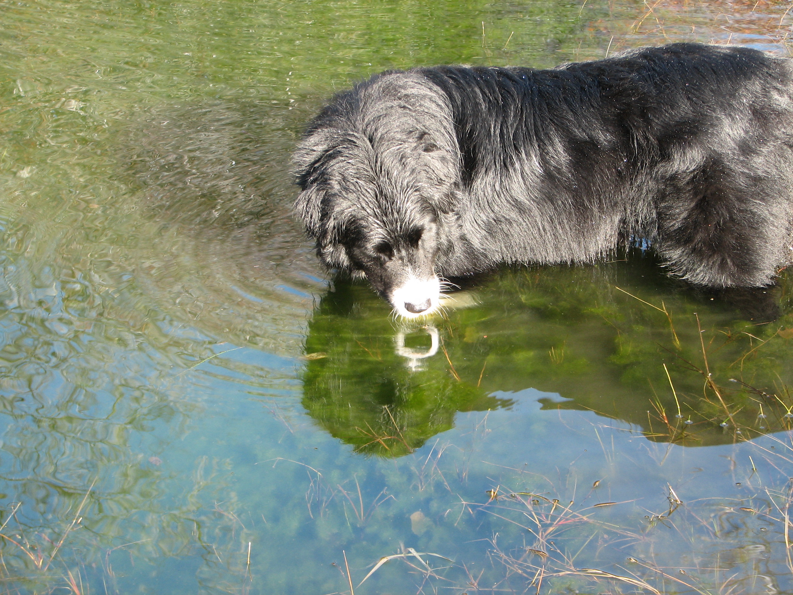 Sunny pauses for reflection