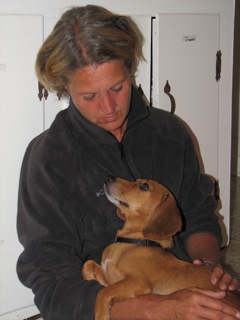 Dachshund on woman's lap