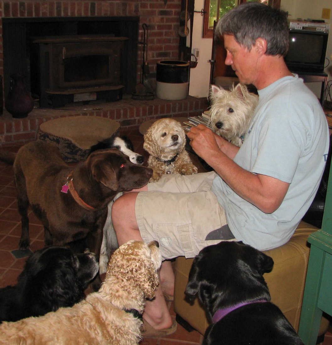 man seated surrounded by dogs