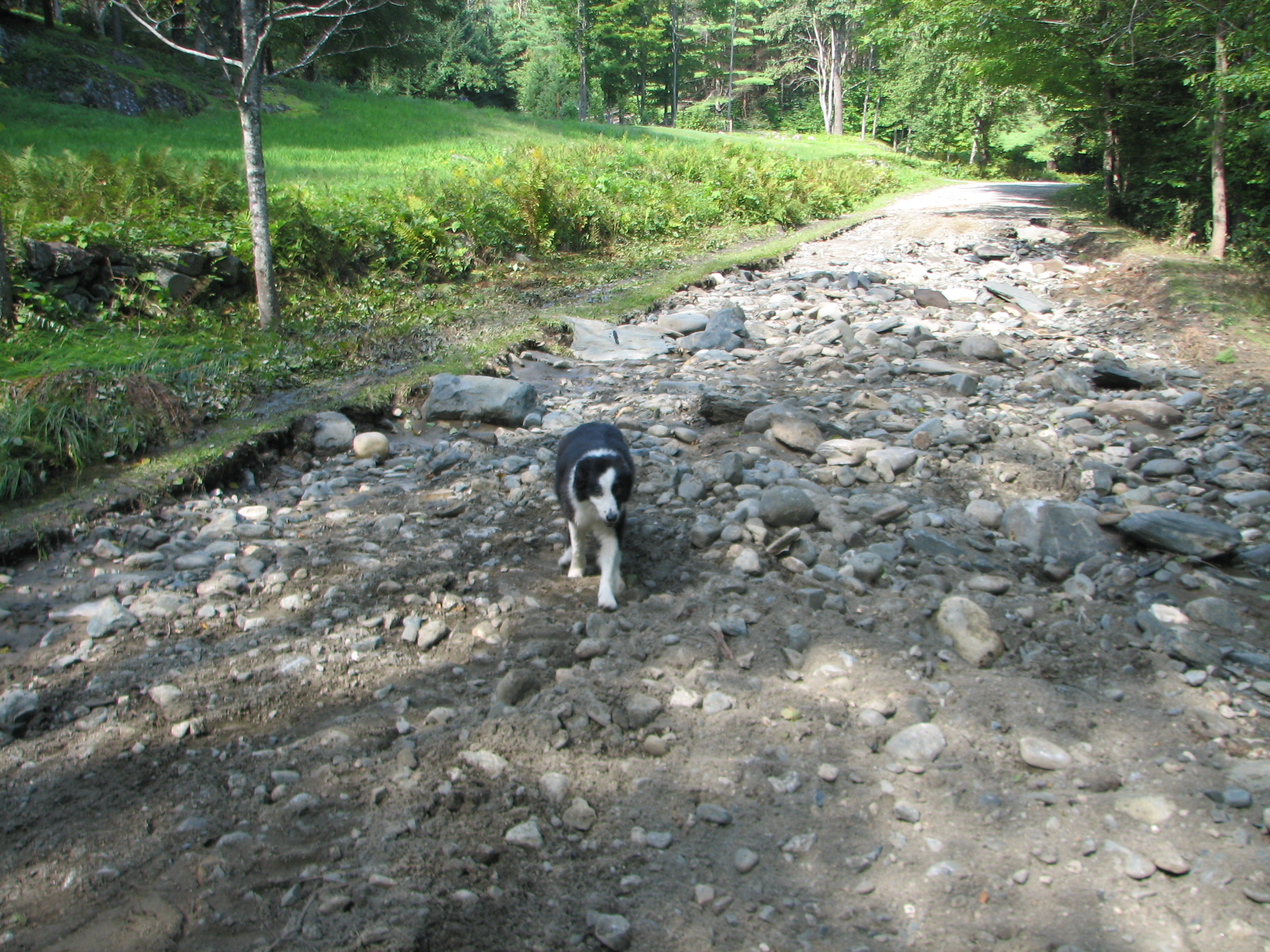 dirt road stripped of gravel by hurrican irene flood waters