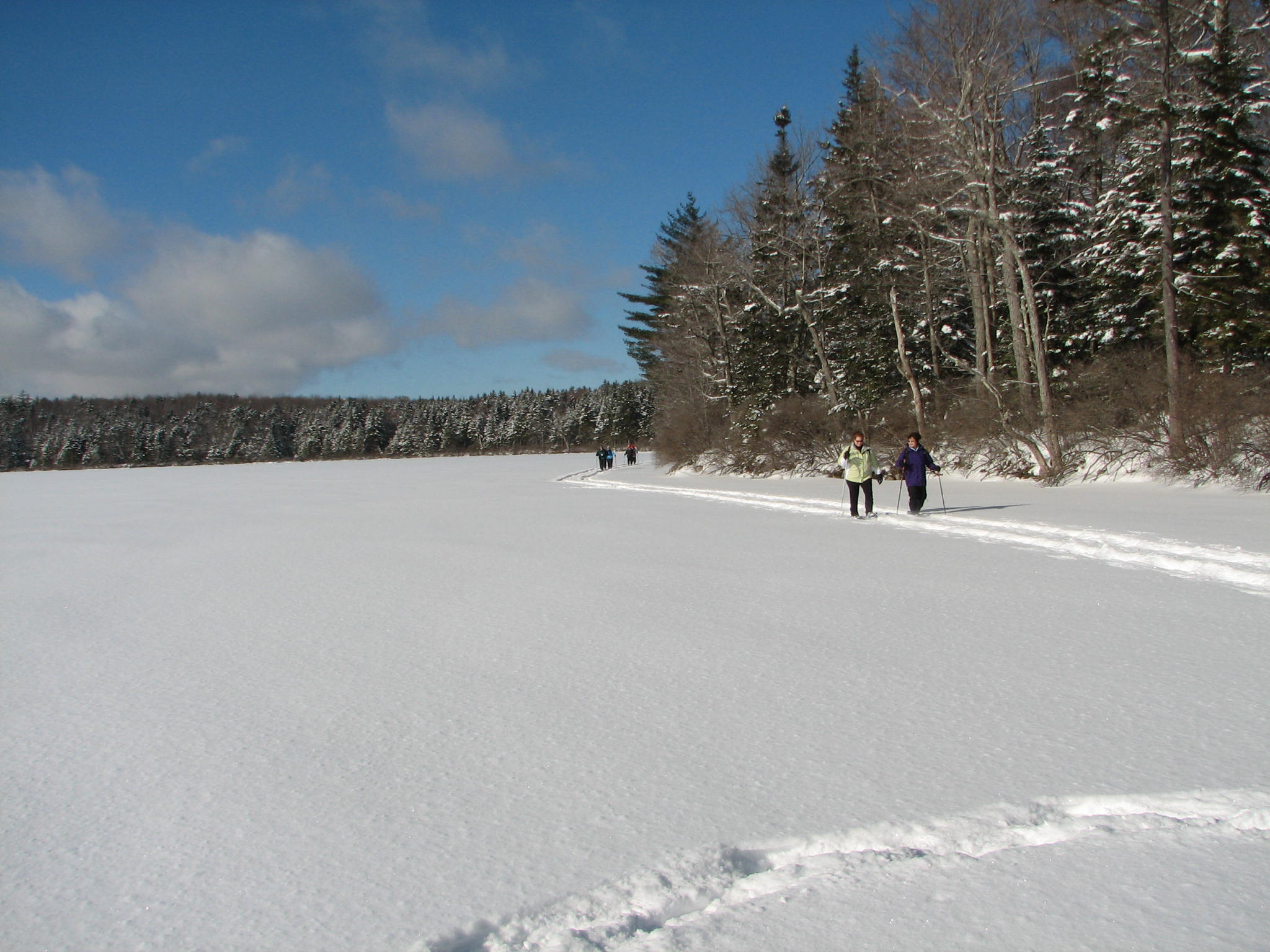 snowshoeing on a frozen pond