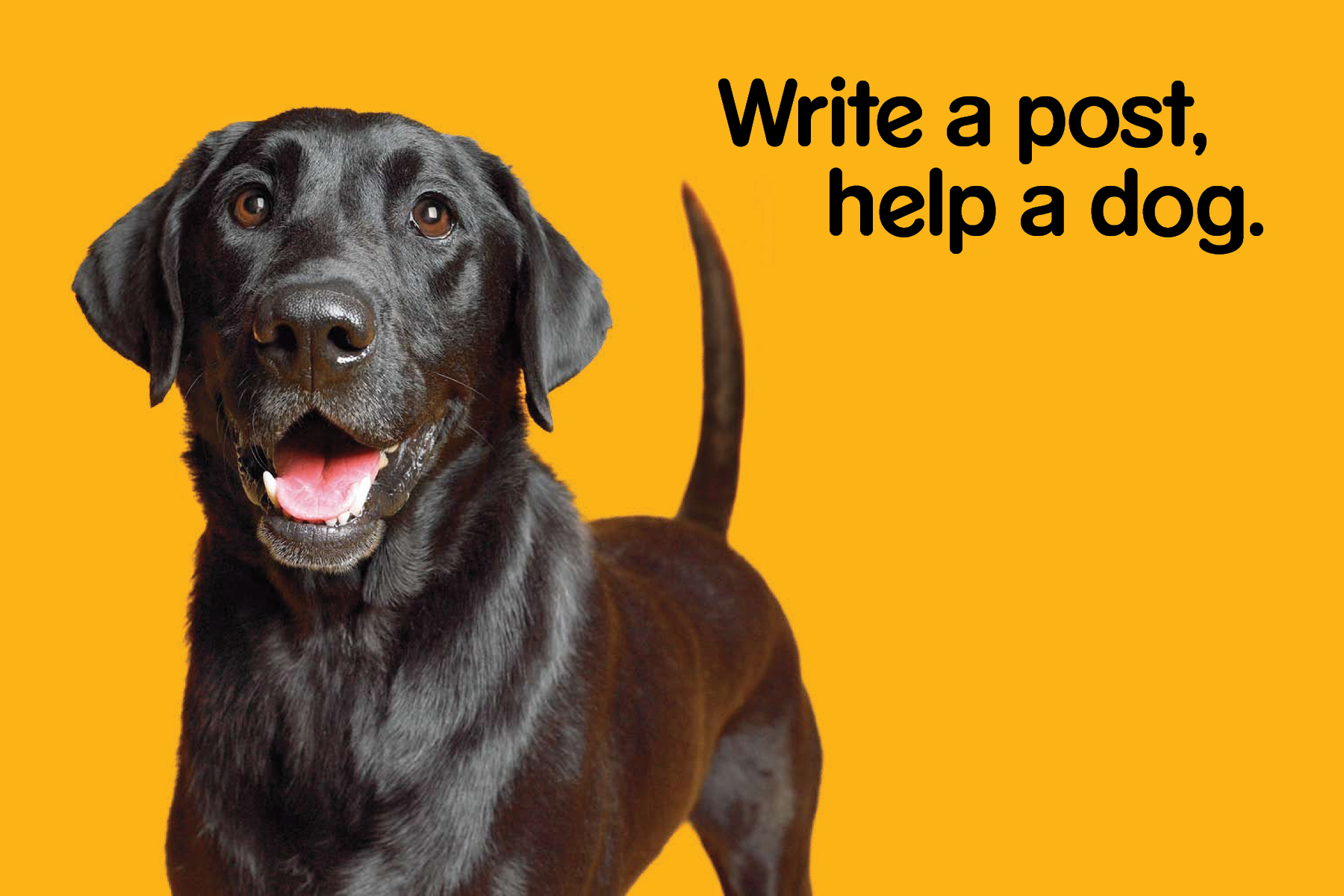 PEDIGREE Write A Post Help A Dogs POSTCARDS 6