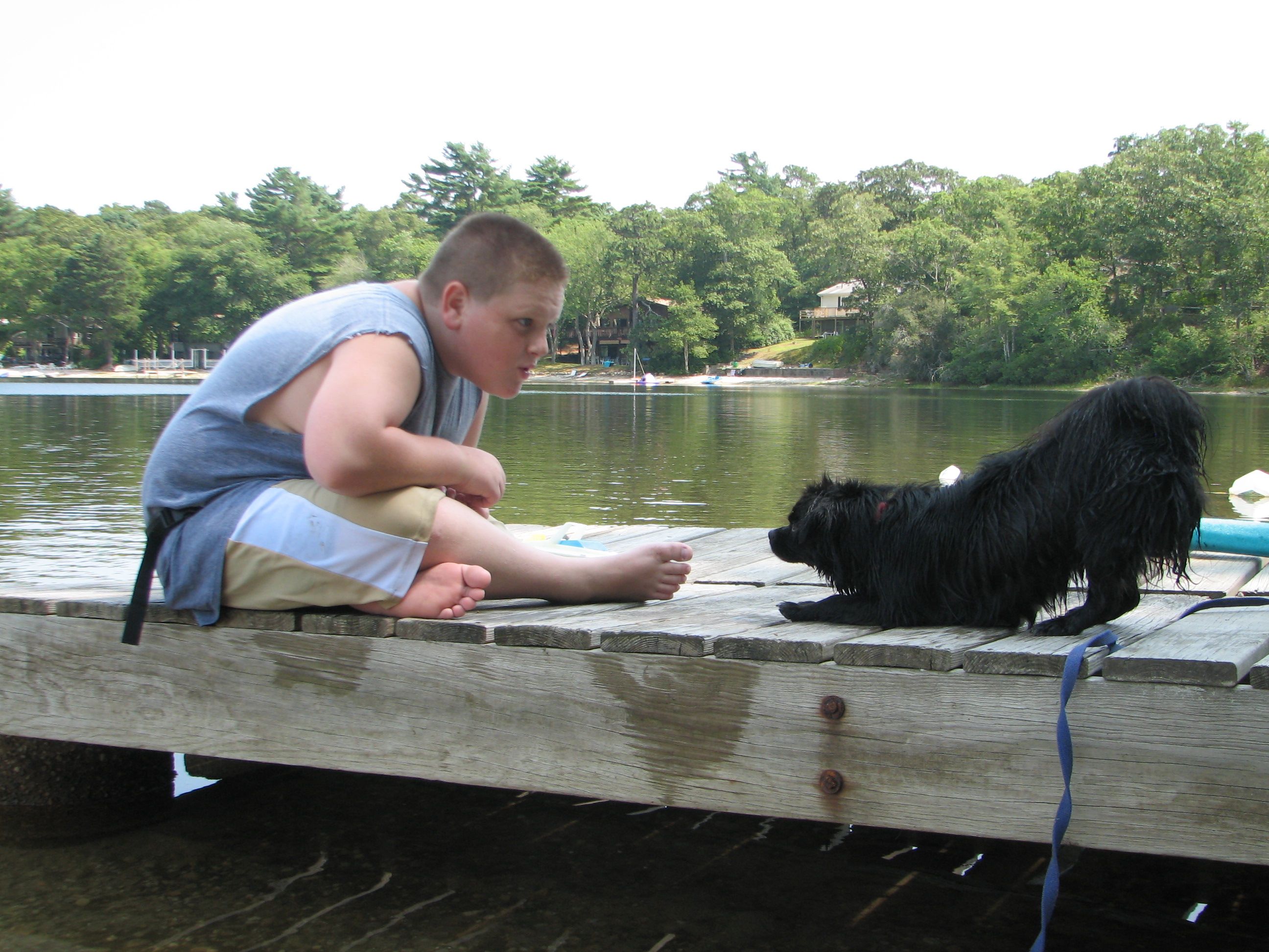 boy with a small black dog bowing at him