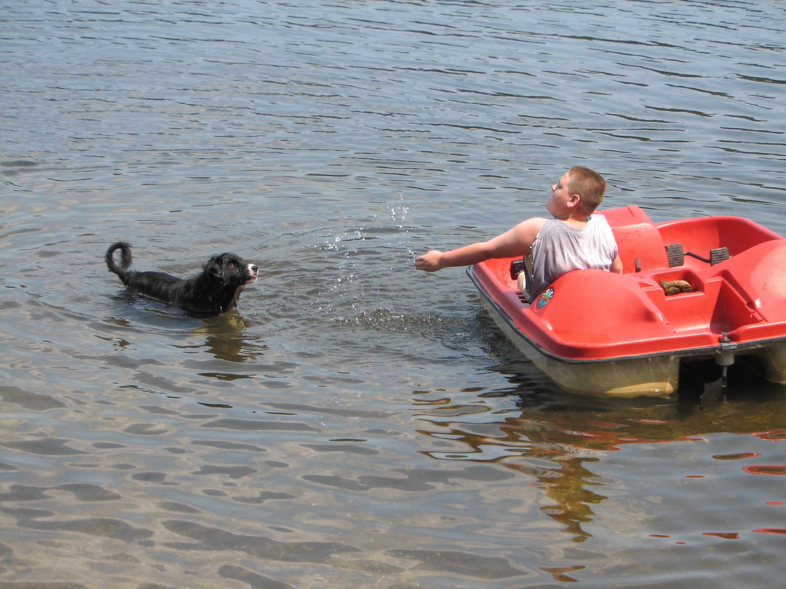 boy in a paddleboat splashing a black dog