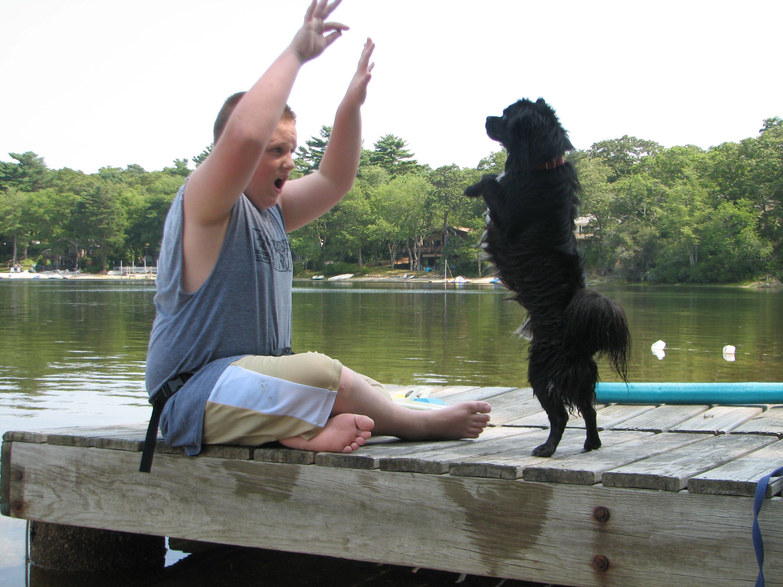 boy getting a dog to stand on its hind legs