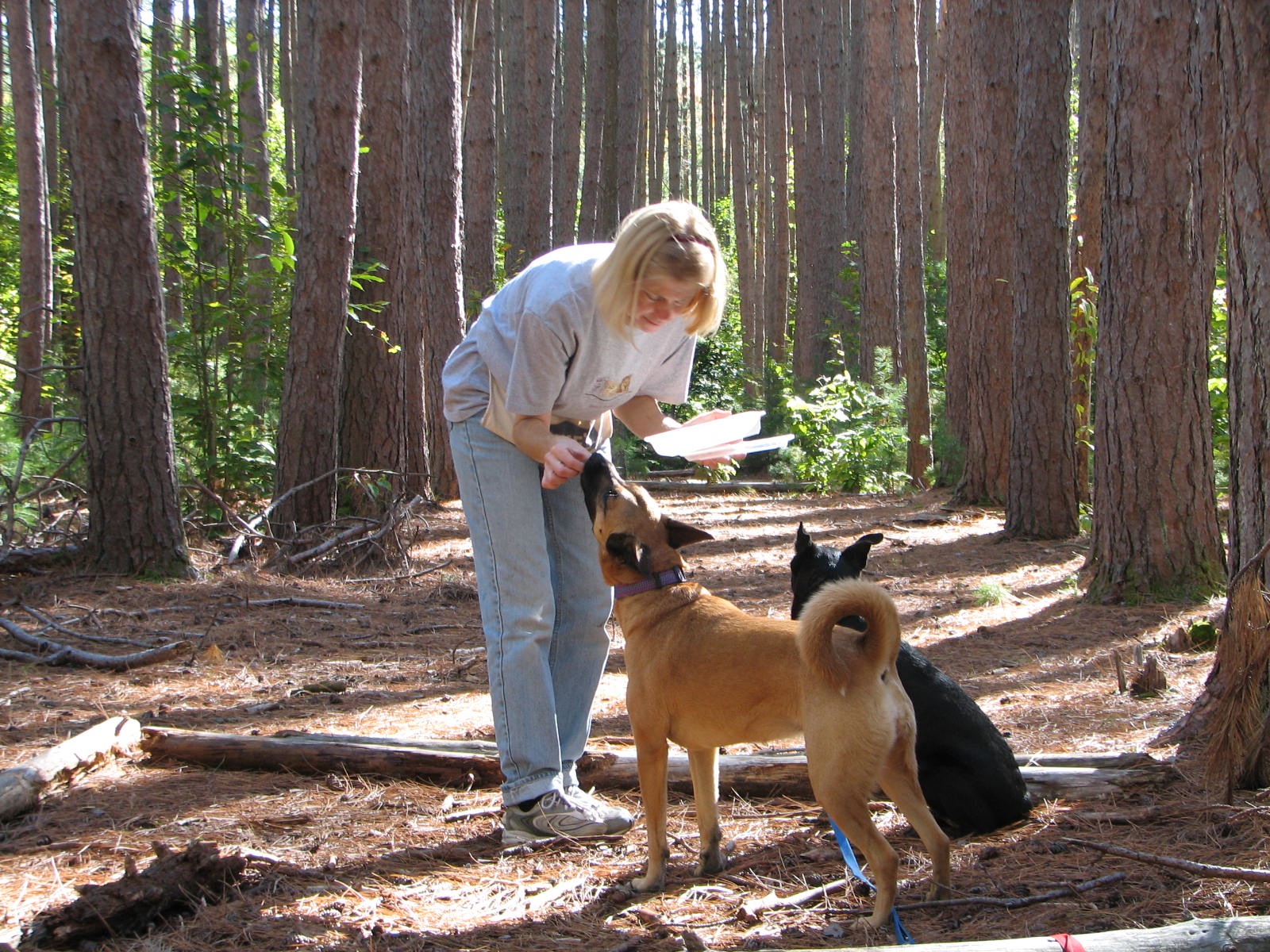 women giving treats to two dogs while outside in the forest