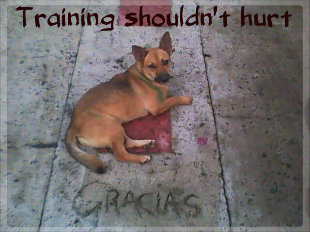 dog on pavement with caption training shouldn't hurt